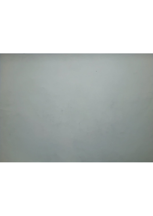 Giorgio Morandi